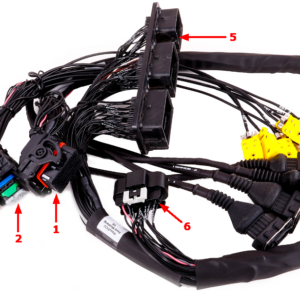 MaxxECU pnp