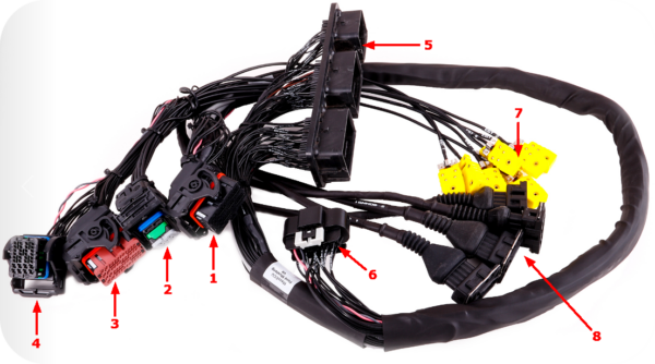 MaxxECU pnp
